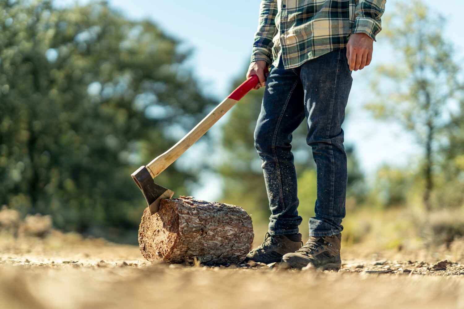 Dead Tree Removal in Country Club Hills, MO